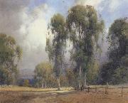 California landscape unknow artist